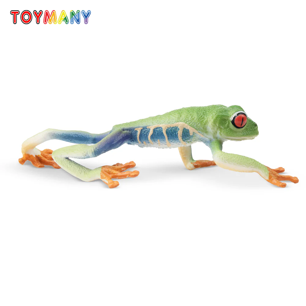 Art Craft Eyes - Toymany محاكاة شجرة حمراء العينين الضفدع